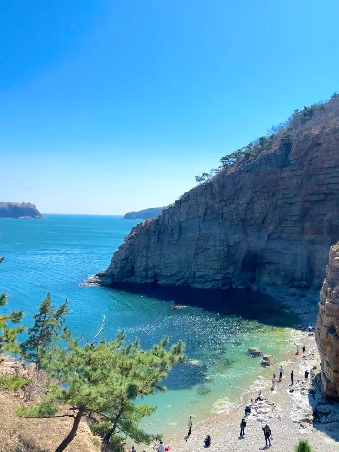 大连5月景点红黑榜📍建议去🆚不建议去