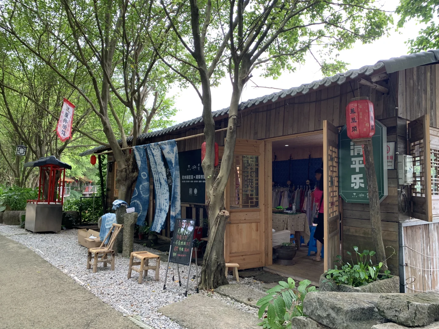 南宁老木棉