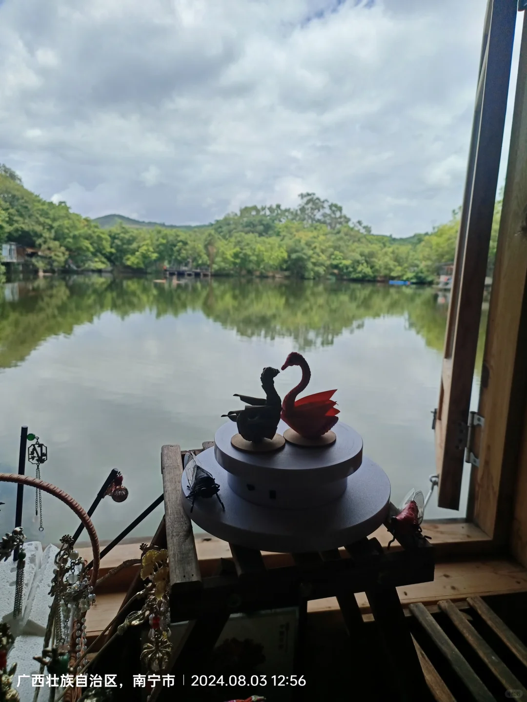 南宁老木棉