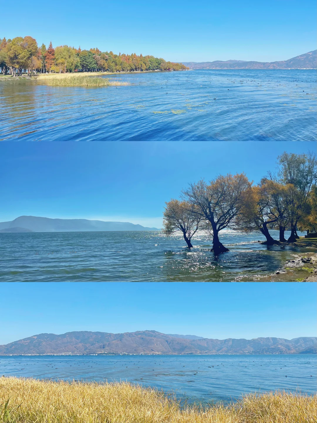 严重被低估❗️洱海旅拍人少出片宝藏公园🏞️