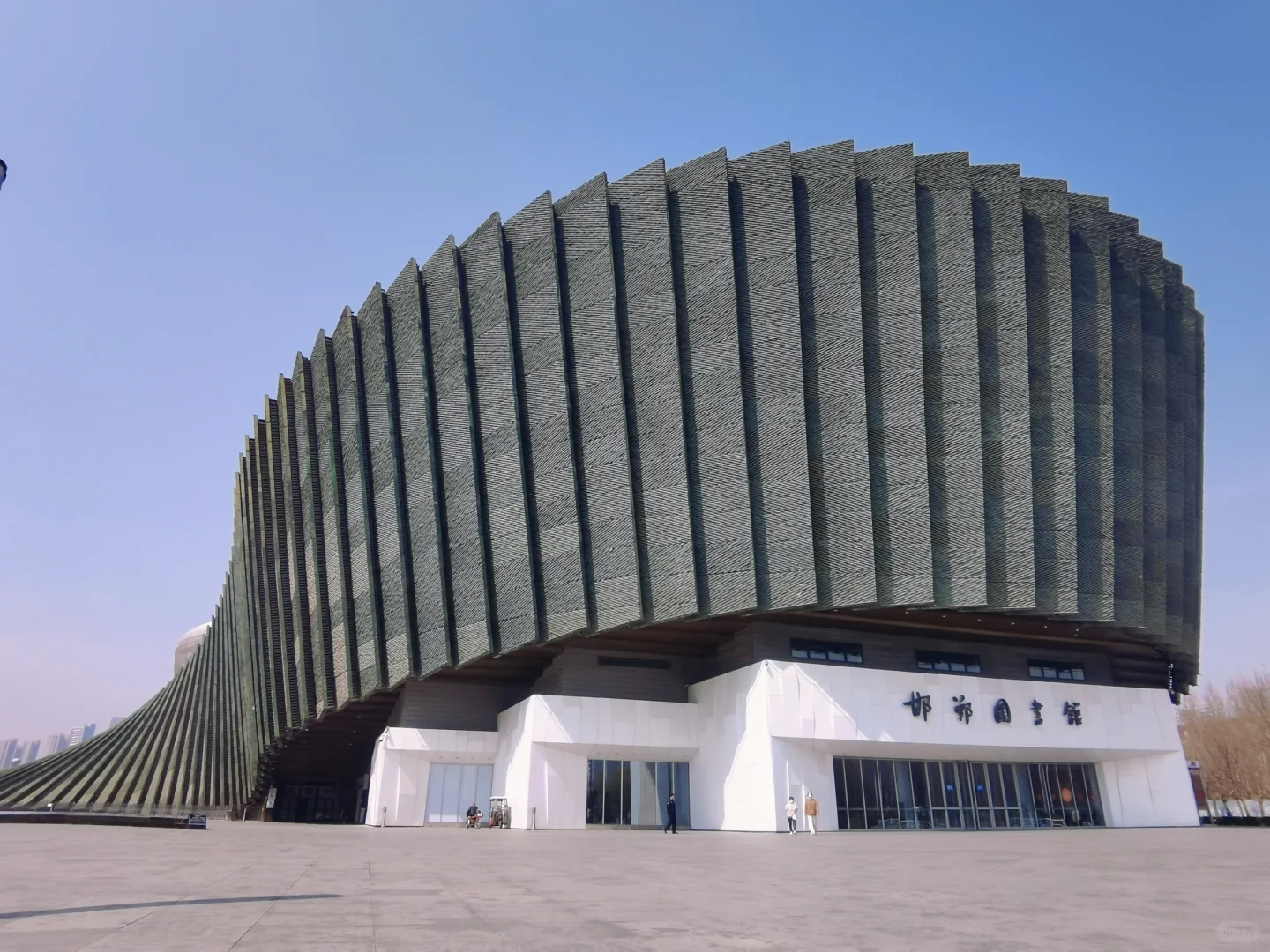 来泡图书馆吧