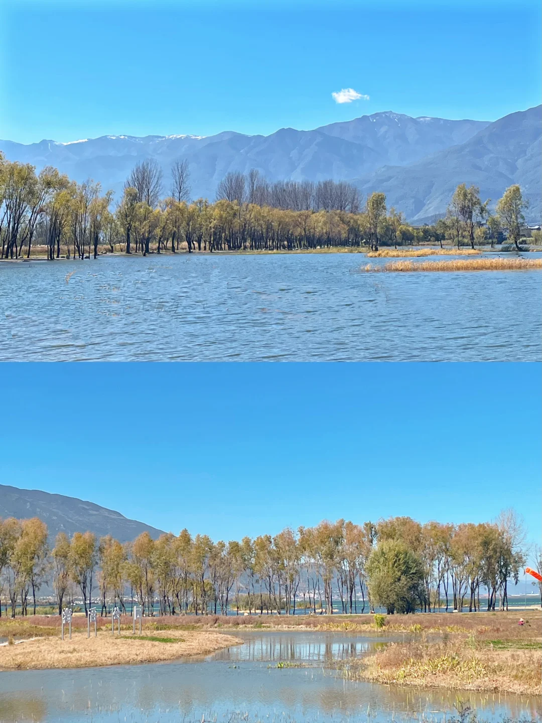 严重被低估❗️洱海旅拍人少出片宝藏公园🏞️