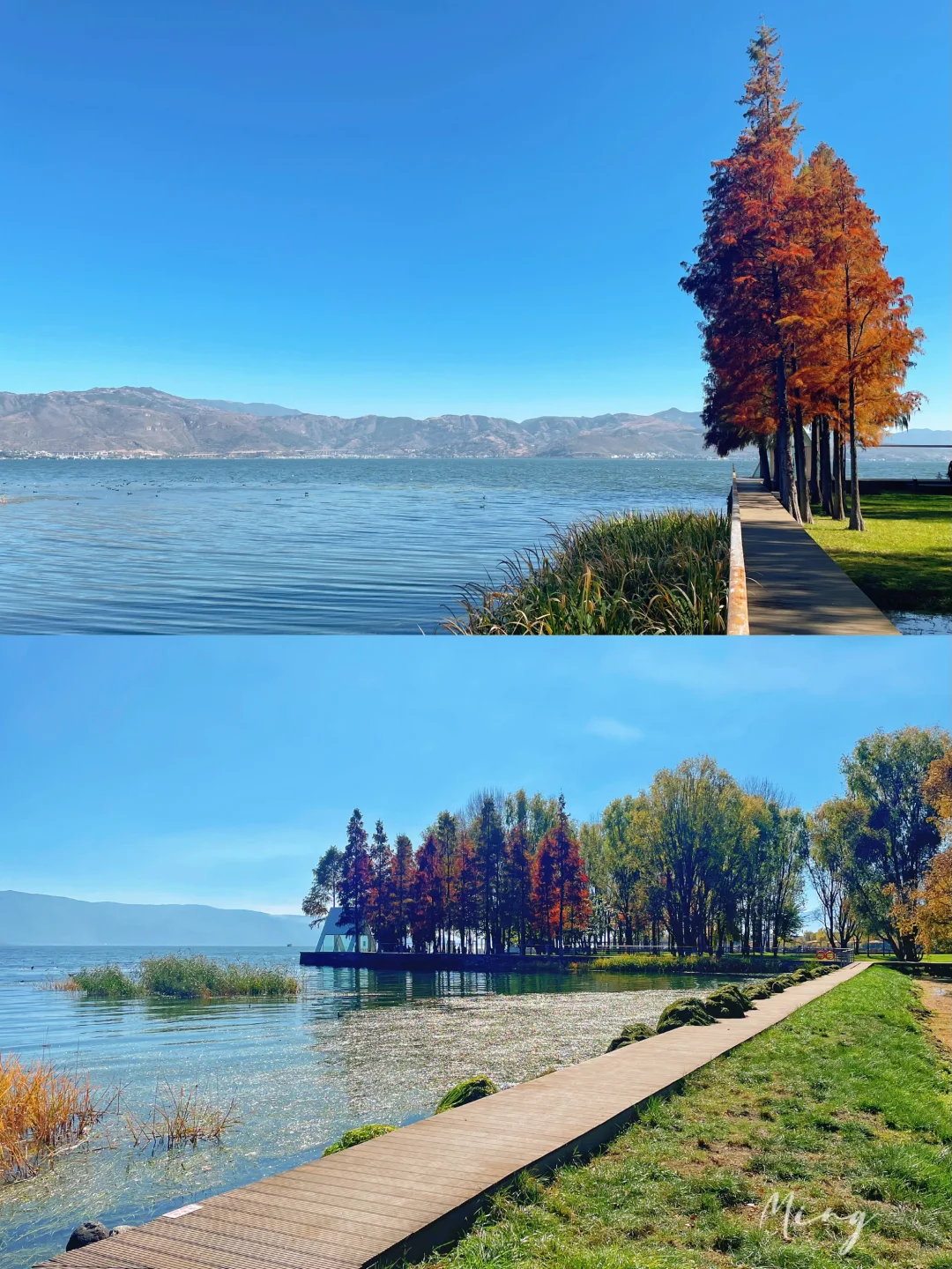 严重被低估❗️洱海旅拍人少出片宝藏公园🏞️