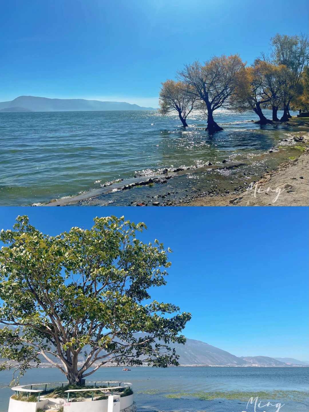 严重被低估❗️洱海旅拍人少出片宝藏公园🏞️