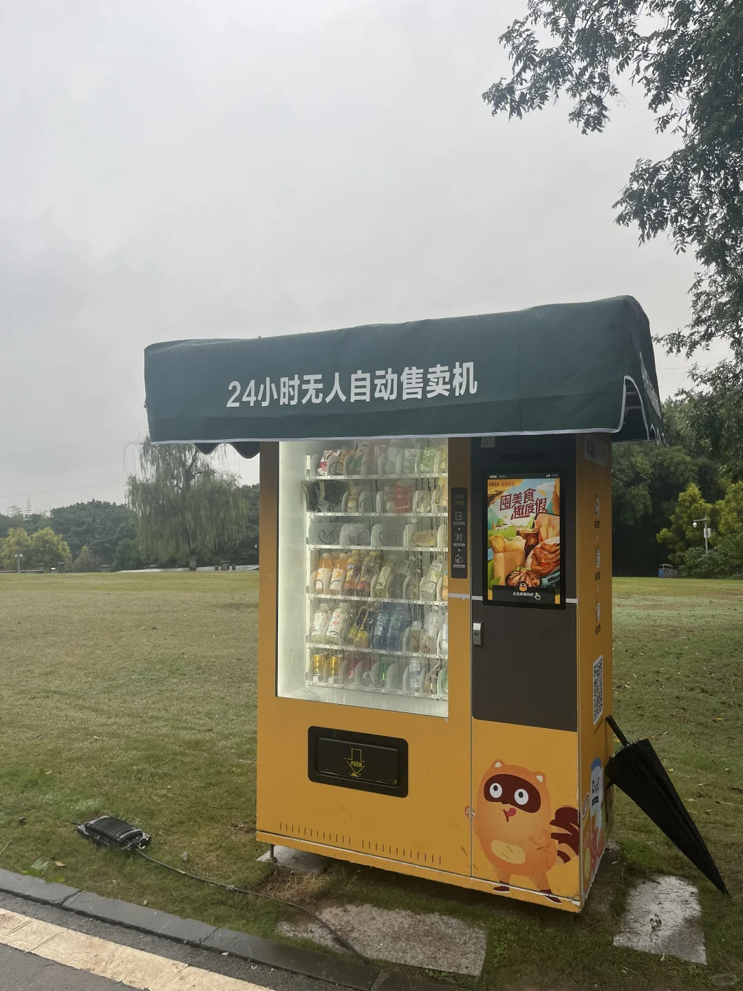 放在景区啦