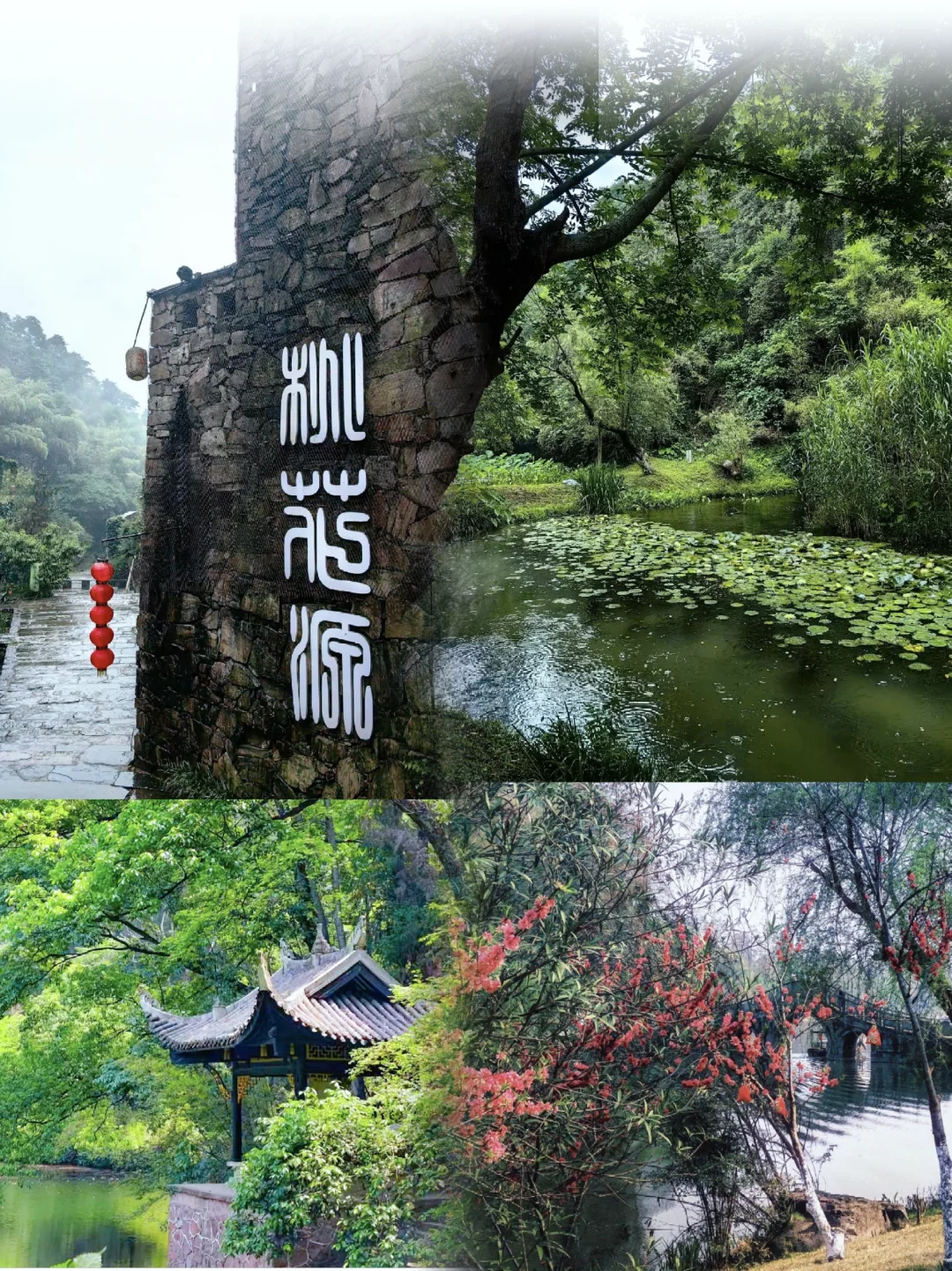🌸常德桃花源大学生实用指南：交通+路线