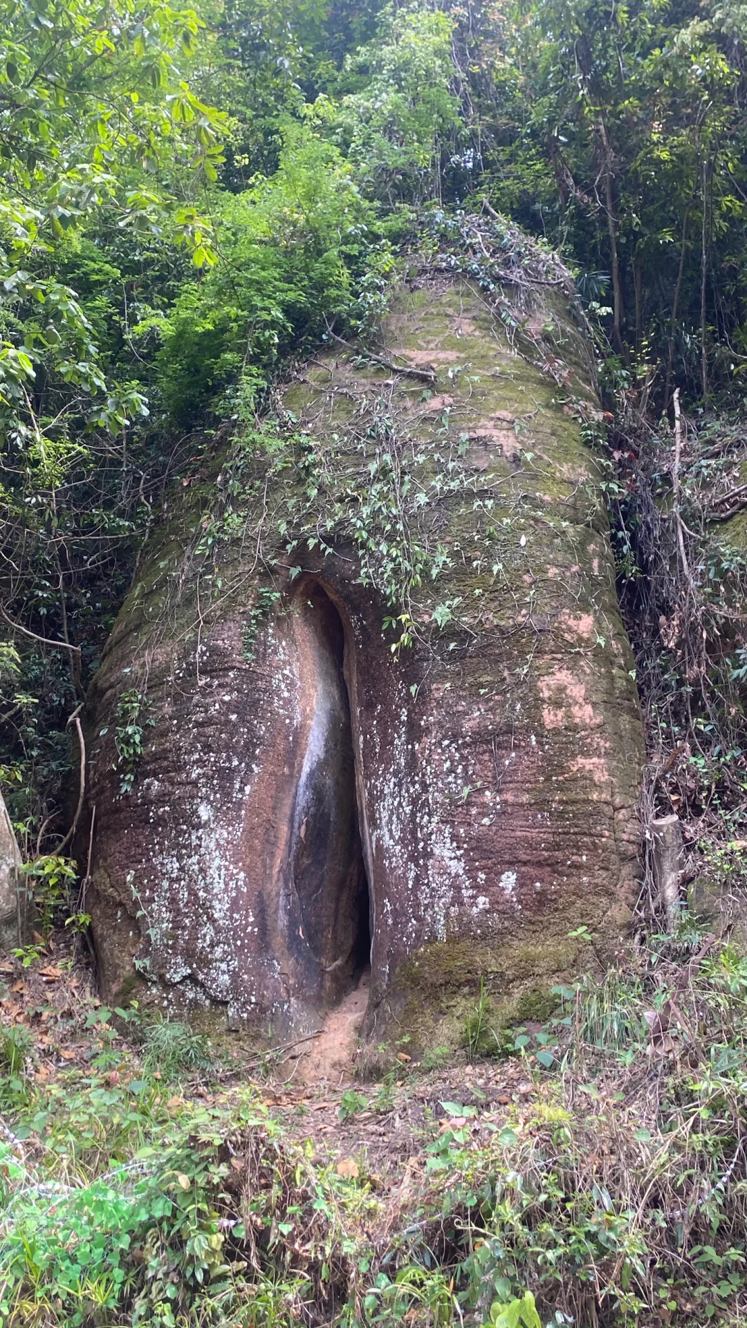 广东韶关丹霞山景区你最喜欢哪个景位？