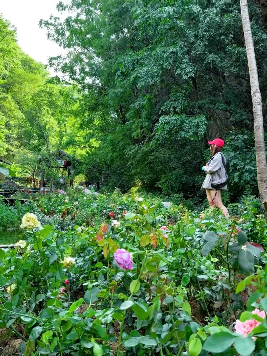 逃离🍃周末，来山里吸吸氧～