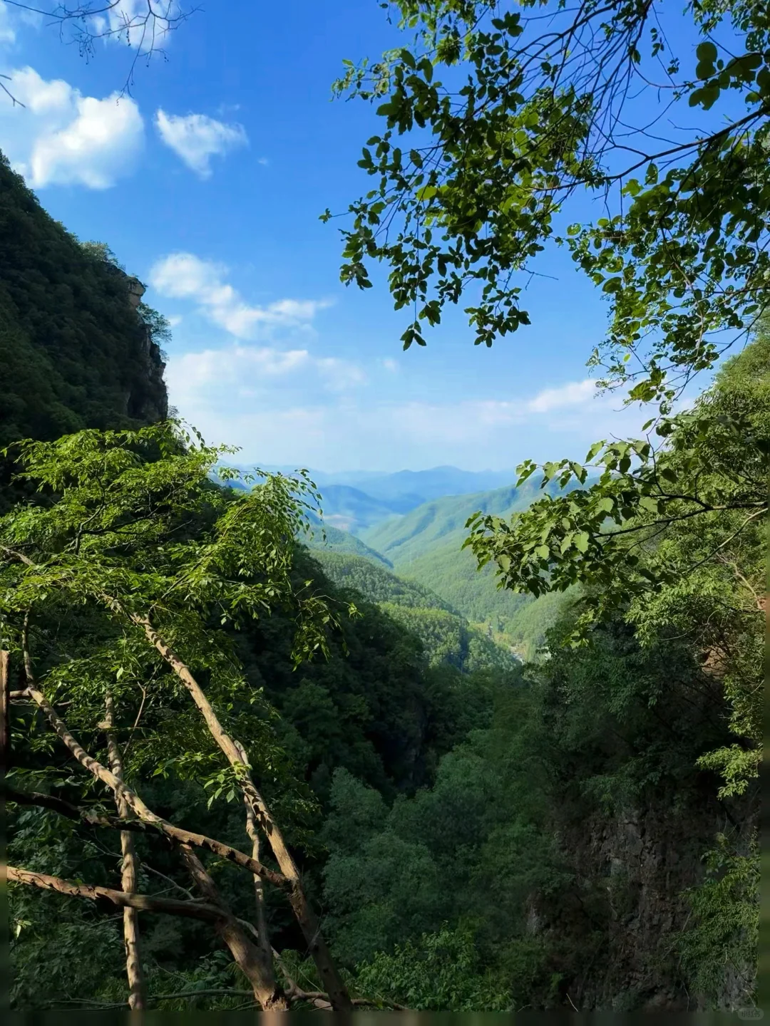 逃离🍃周末，来山里吸吸氧～