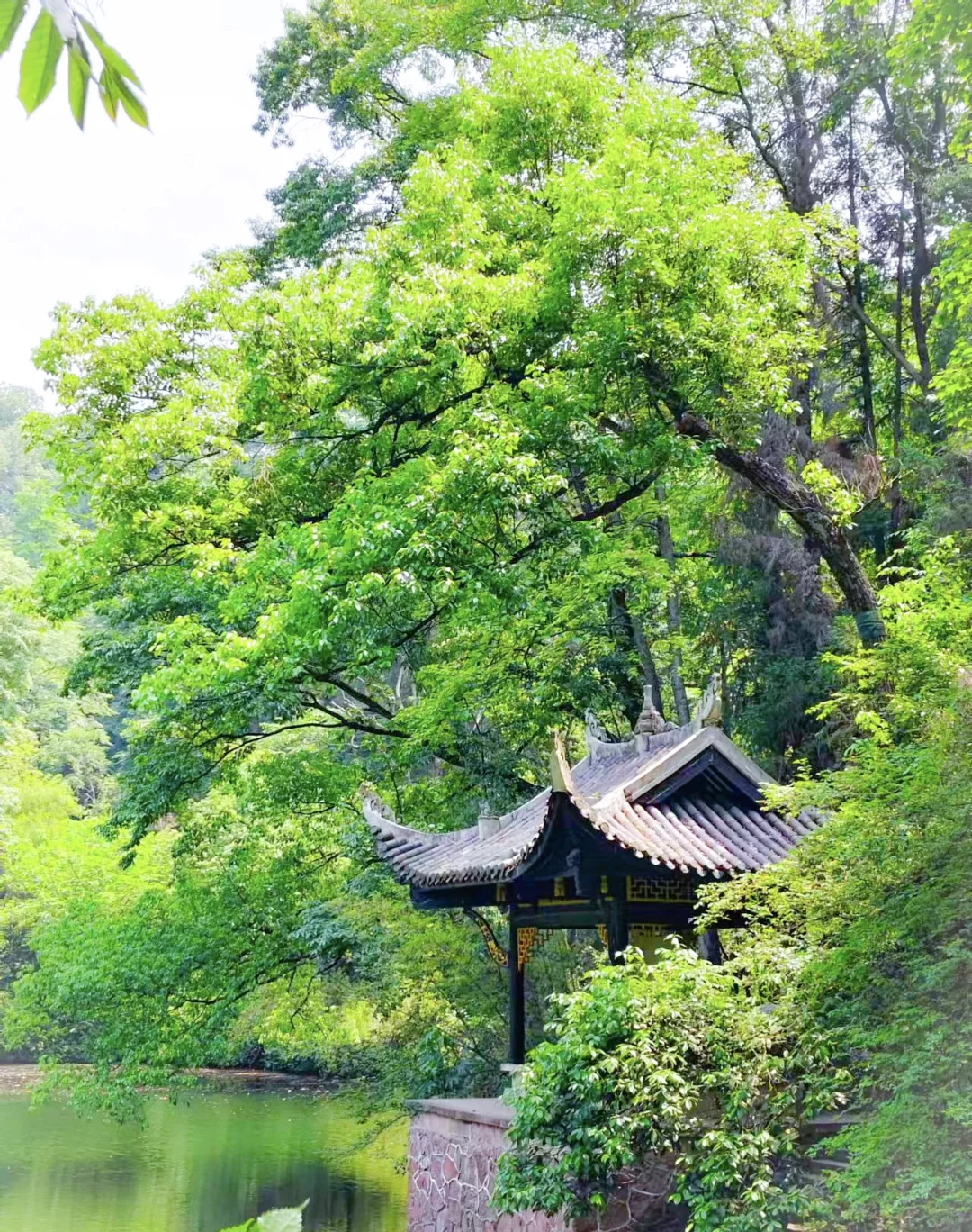 🌸常德桃花源大学生实用指南：交通+路线