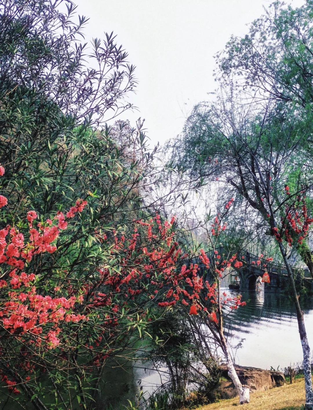 🌸常德桃花源大学生实用指南：交通+路线