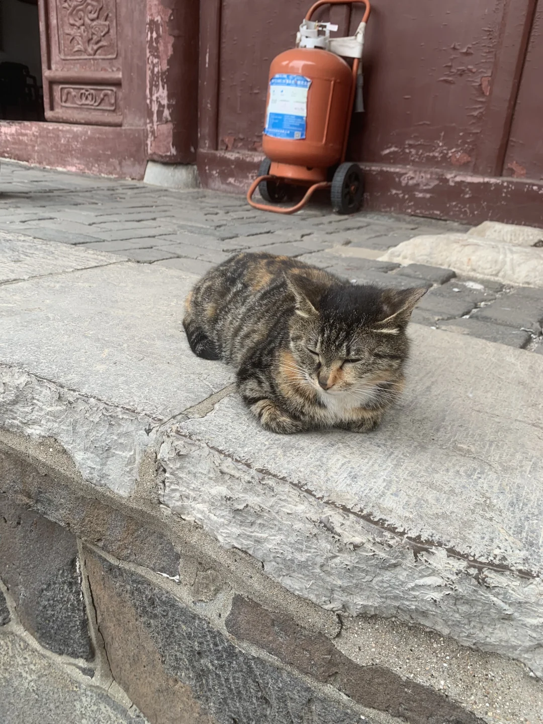 蓬莱阁讲解 高级导游
