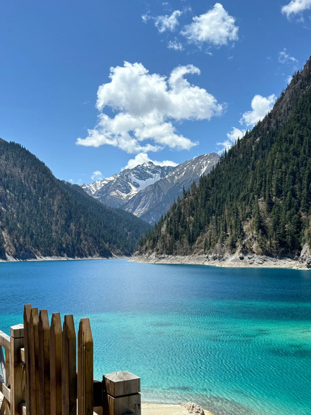 5.5📍九寨沟已回，累吐啦😅我来说点大实话……