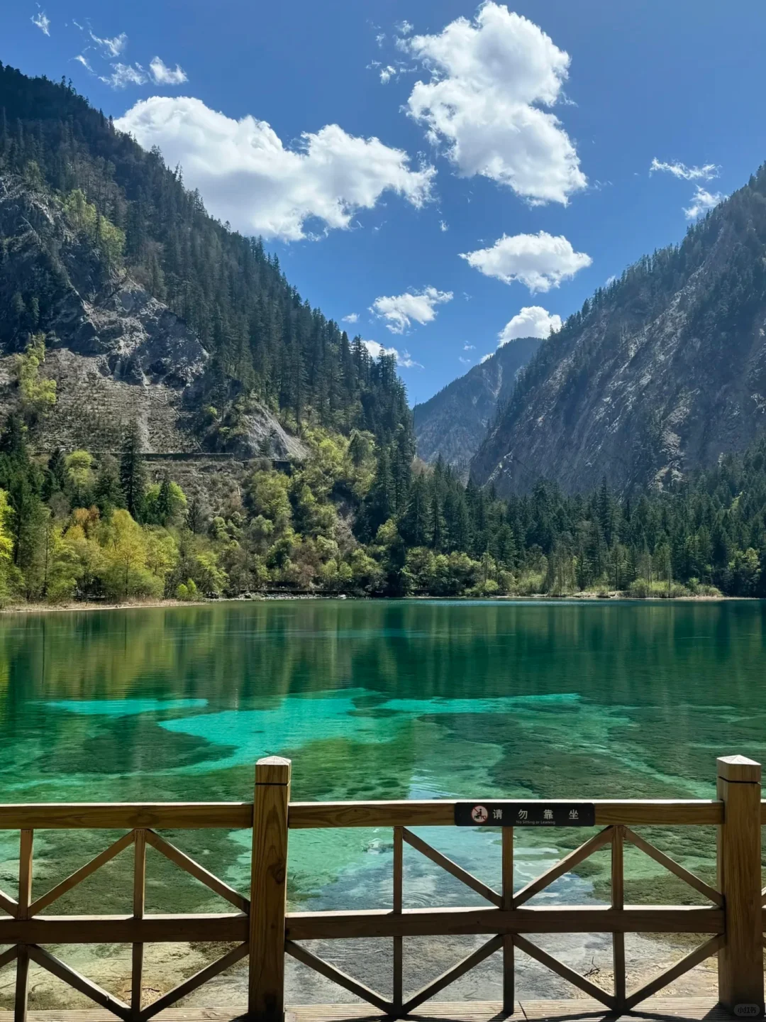 5.5📍九寨沟已回，累吐啦😅我来说点大实话……