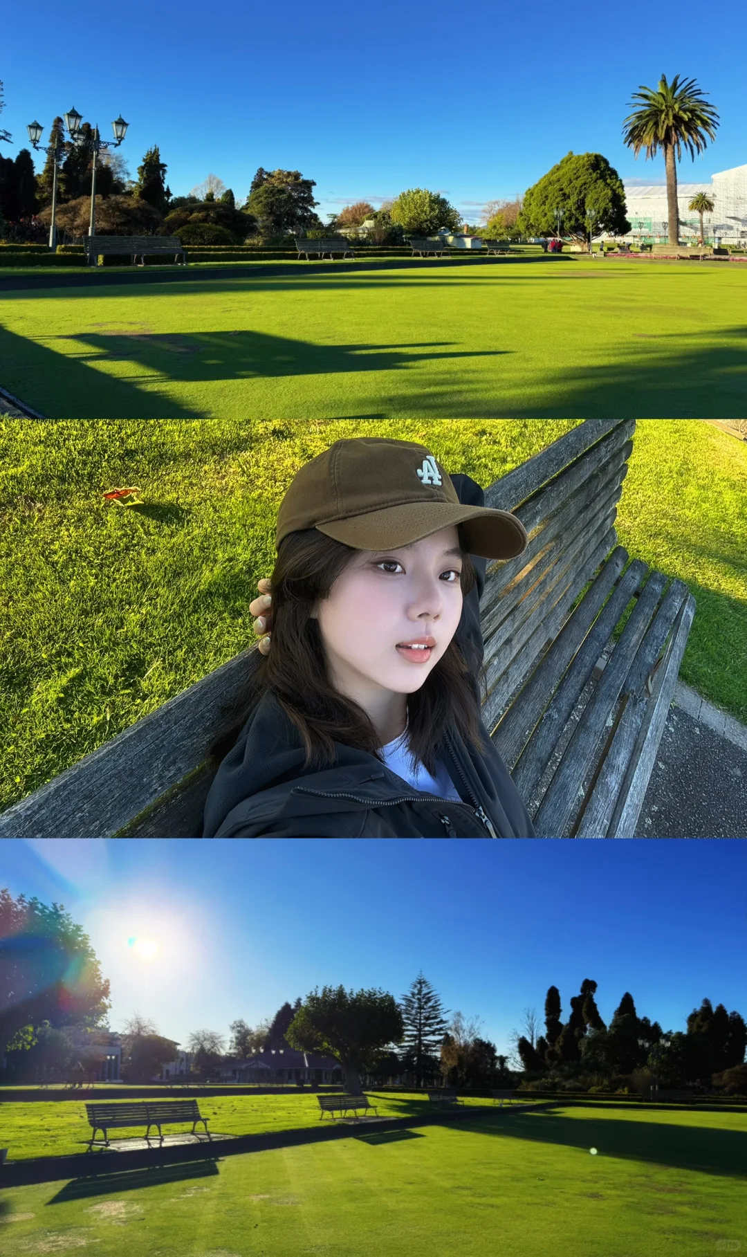 pics in NZ ..🧩
