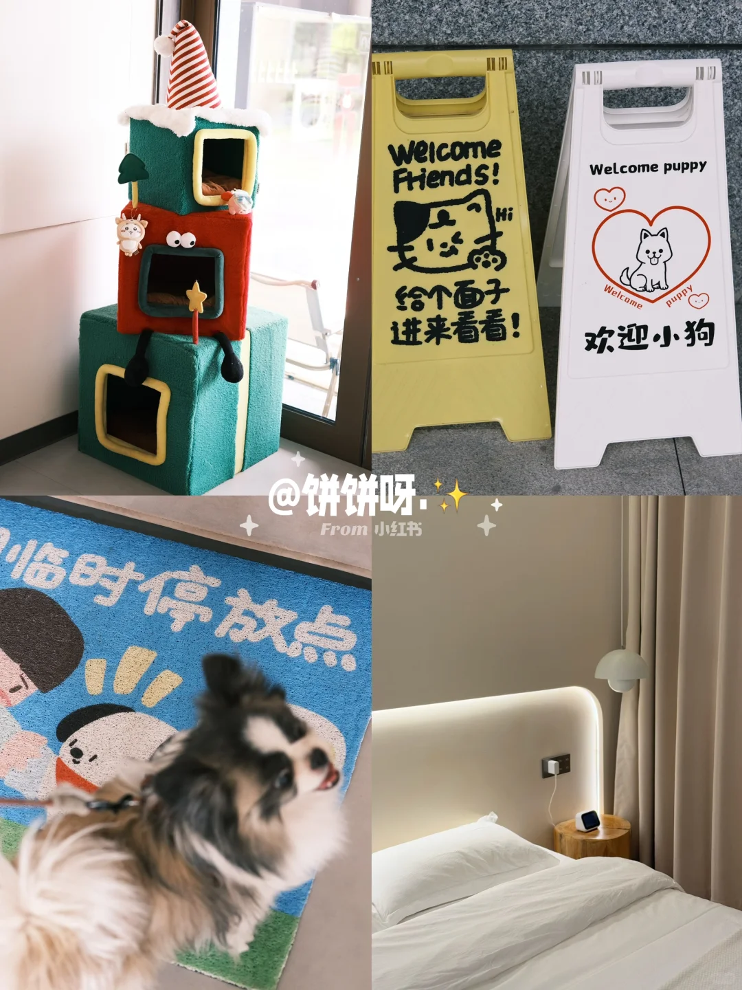 周末出行计划·06 | 日照