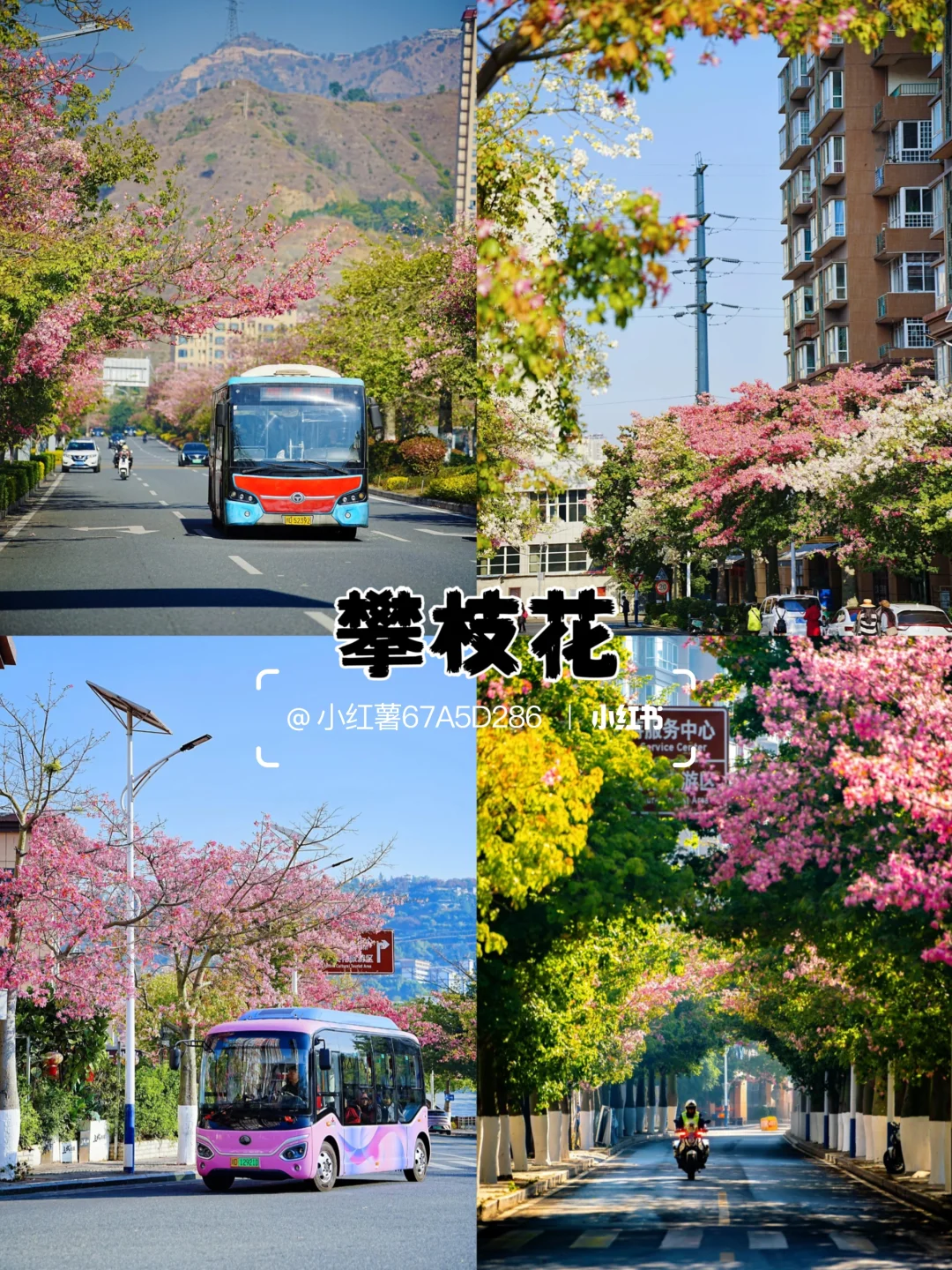 适合一家人去低消费的5个地方