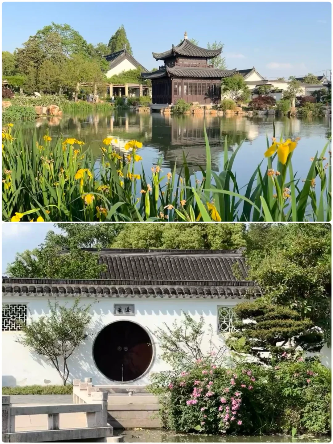 适合短途出游，零差评的四个城市❗️