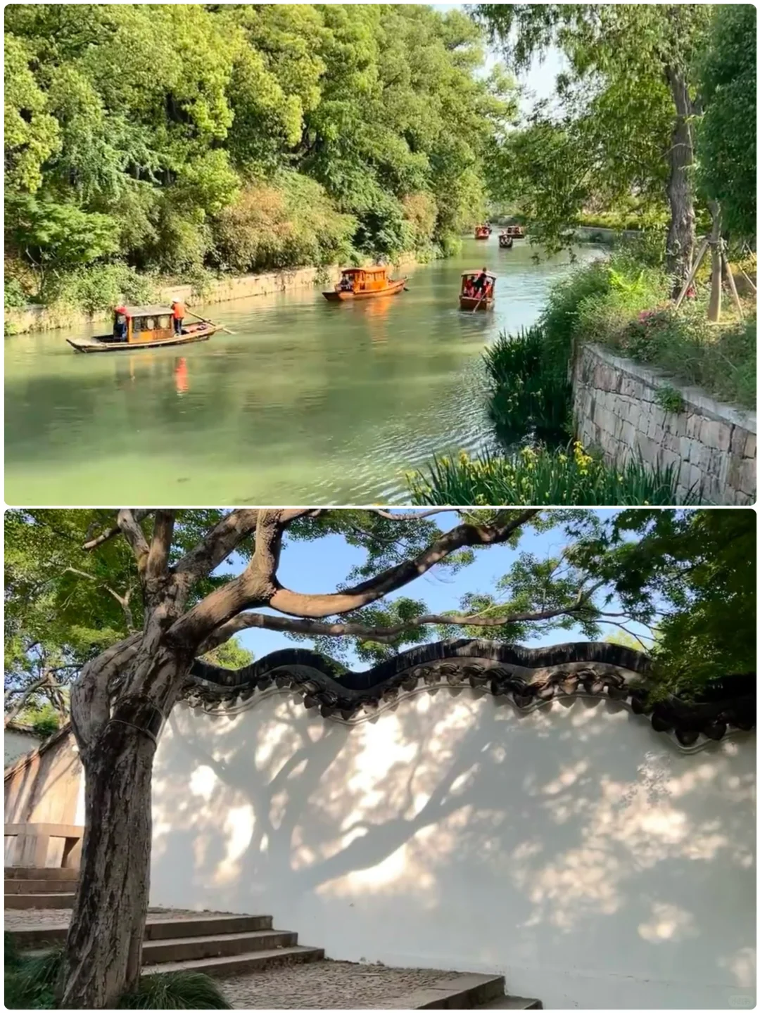 适合短途出游，零差评的四个城市❗️