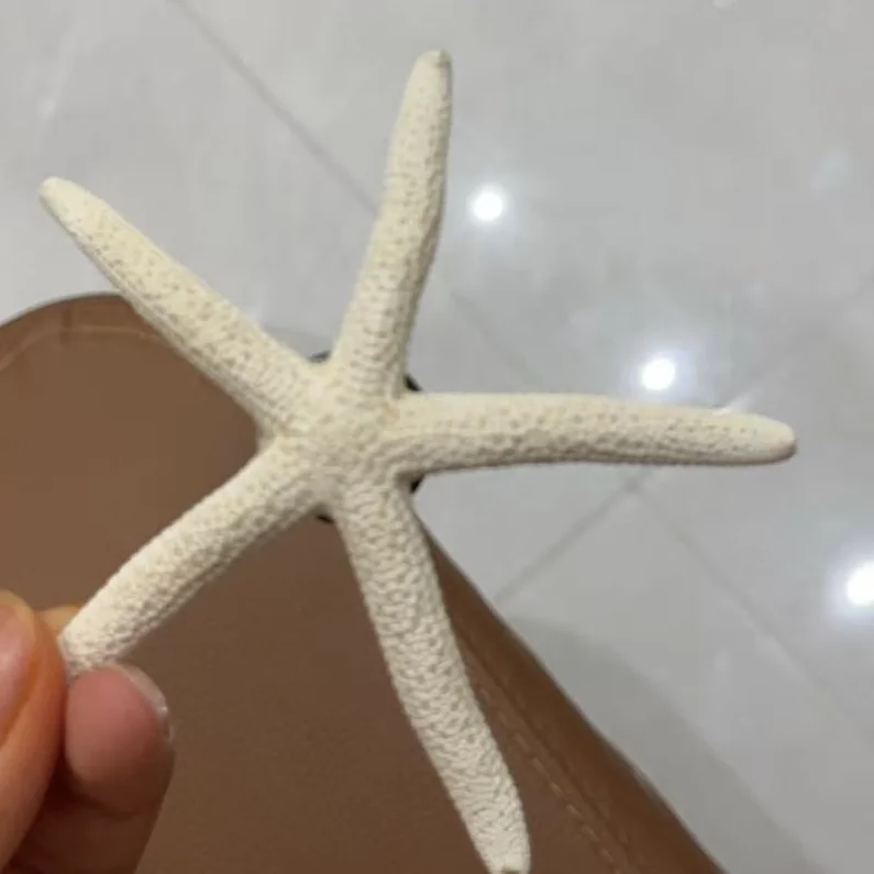 日照🌊🐚