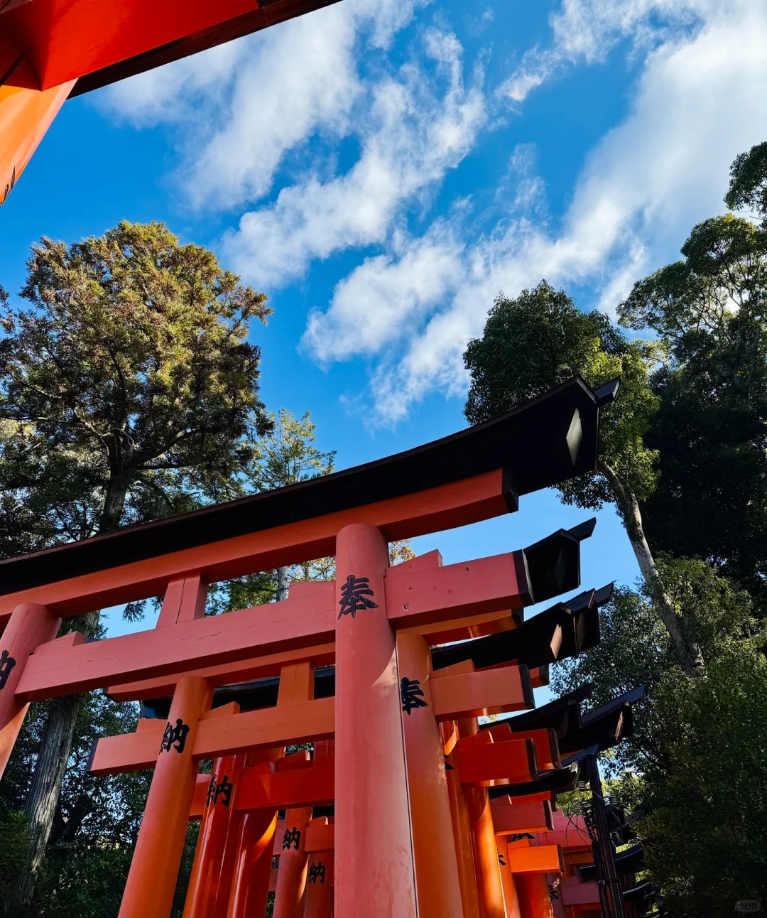 大阪&京都&奈良 | 旅行日记