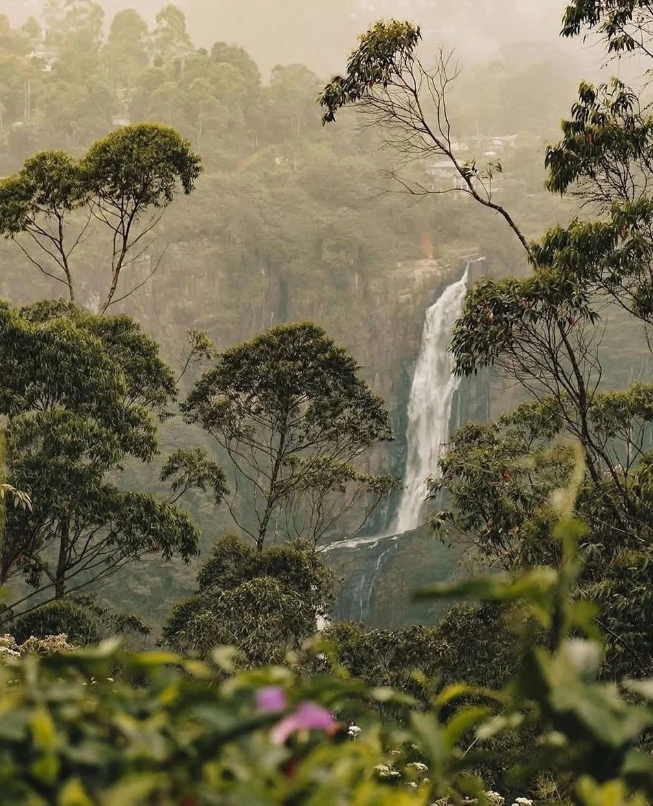 Devon Falls
