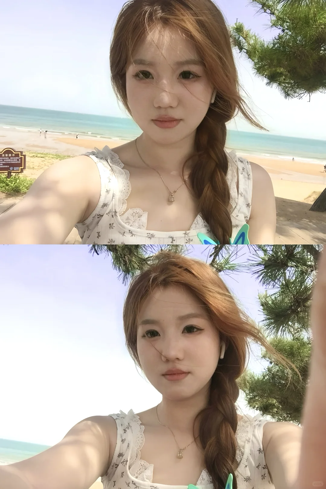 日照🌊🐚