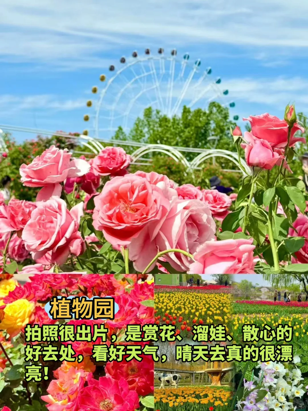 石家庄必打卡9大景点！📖