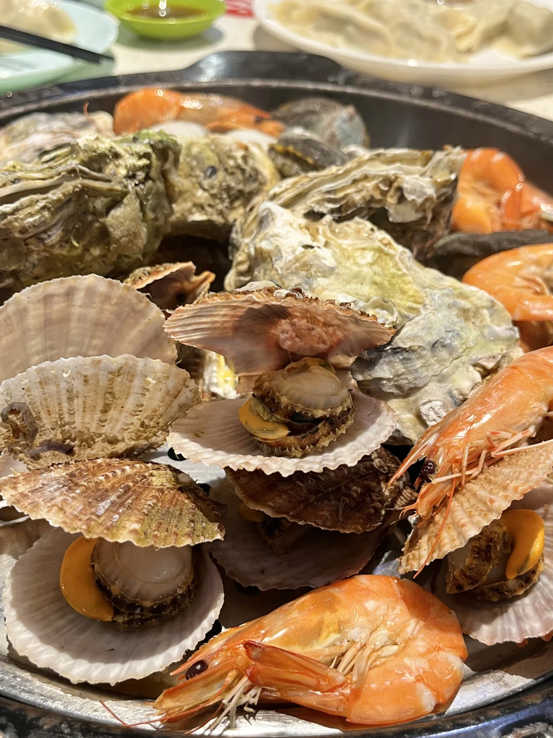 日照🌊🐚
