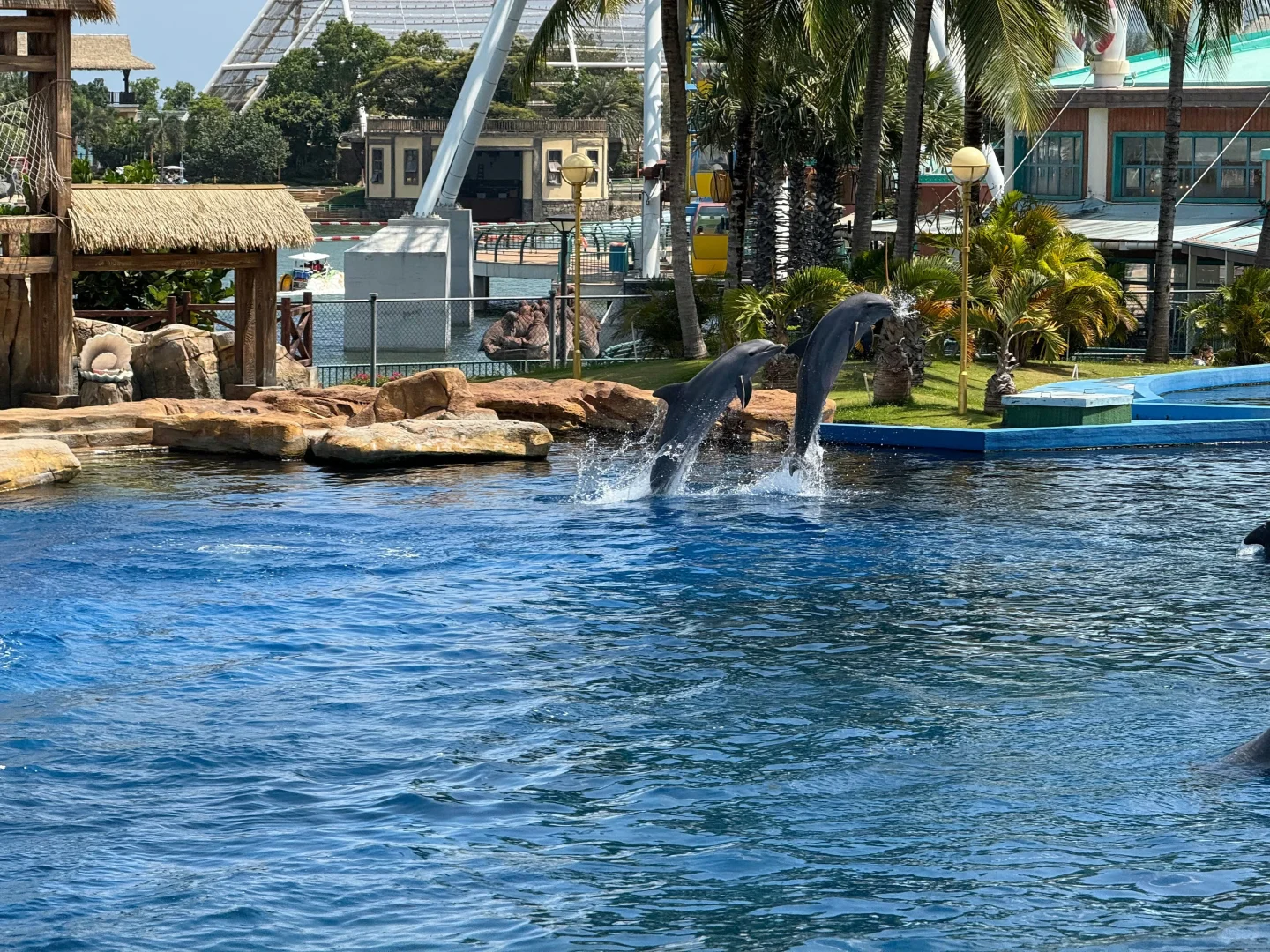 别信“小众海岛”鬼话！北海涠洲岛明明藏着….