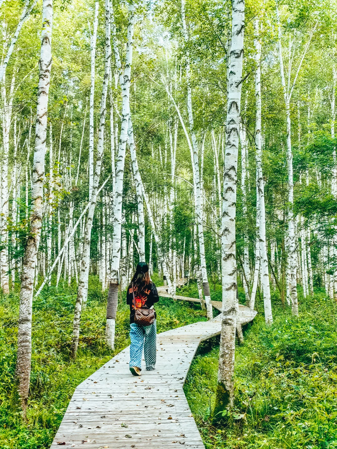 人生建议：5-8月一定要来20℃的长白山避暑