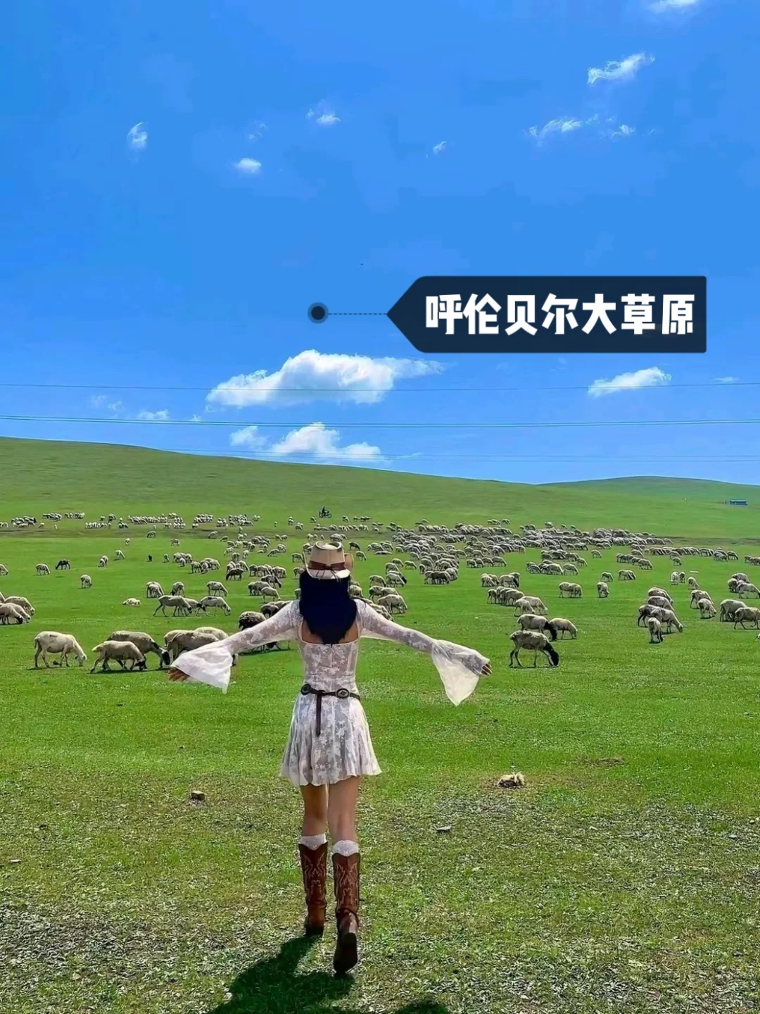 🌿这个夏天总要去一次呼伦贝尔吧！