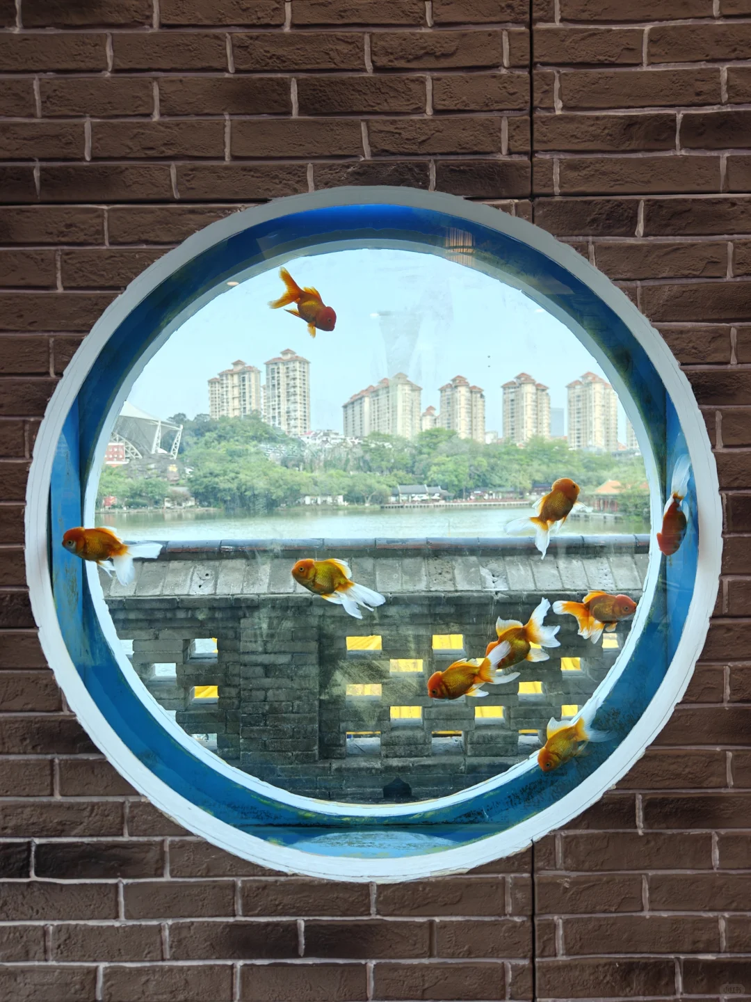 🌊珠海很好，下次还来！ 附攻略