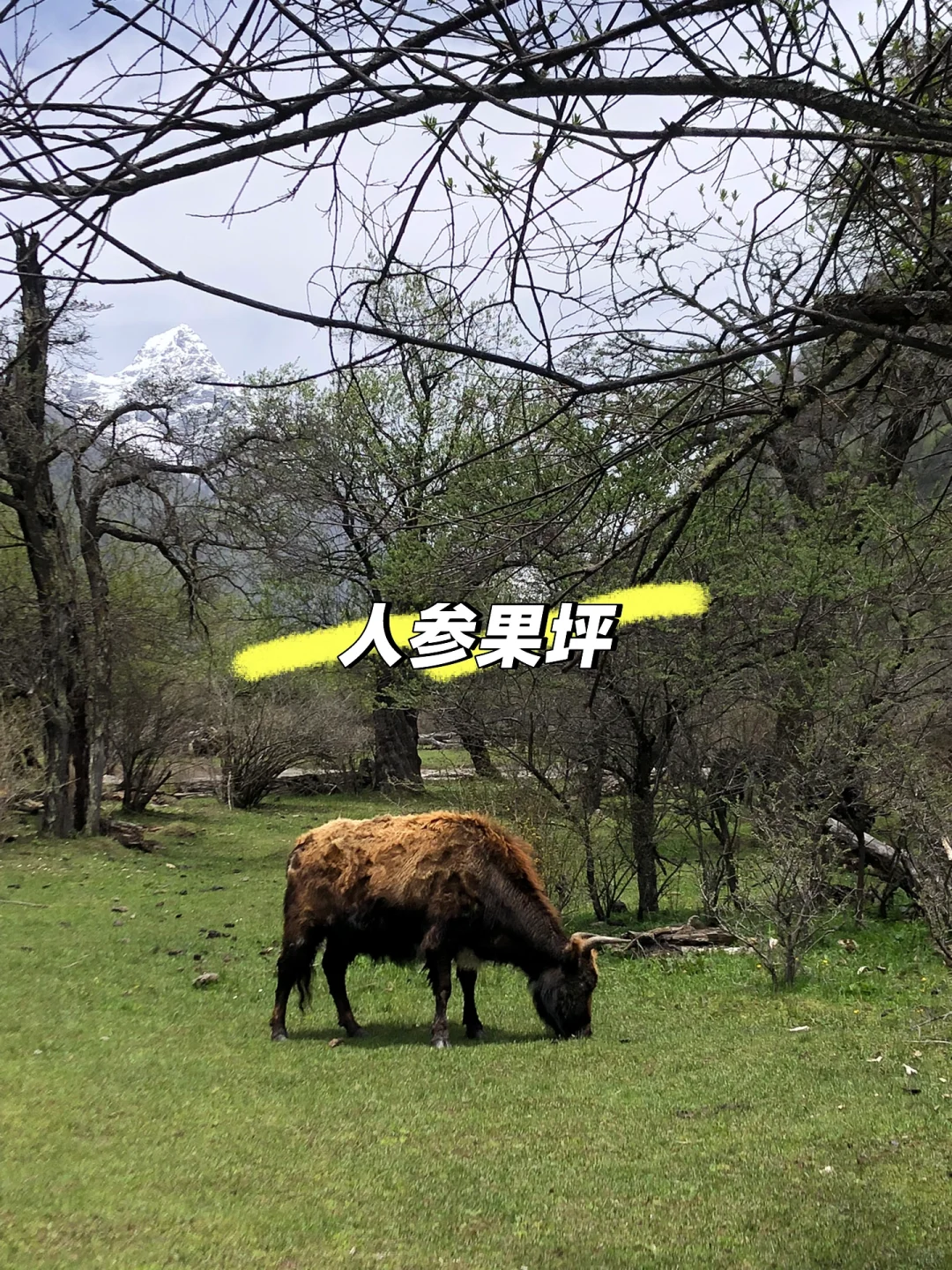 走进大山——双桥沟景点详情