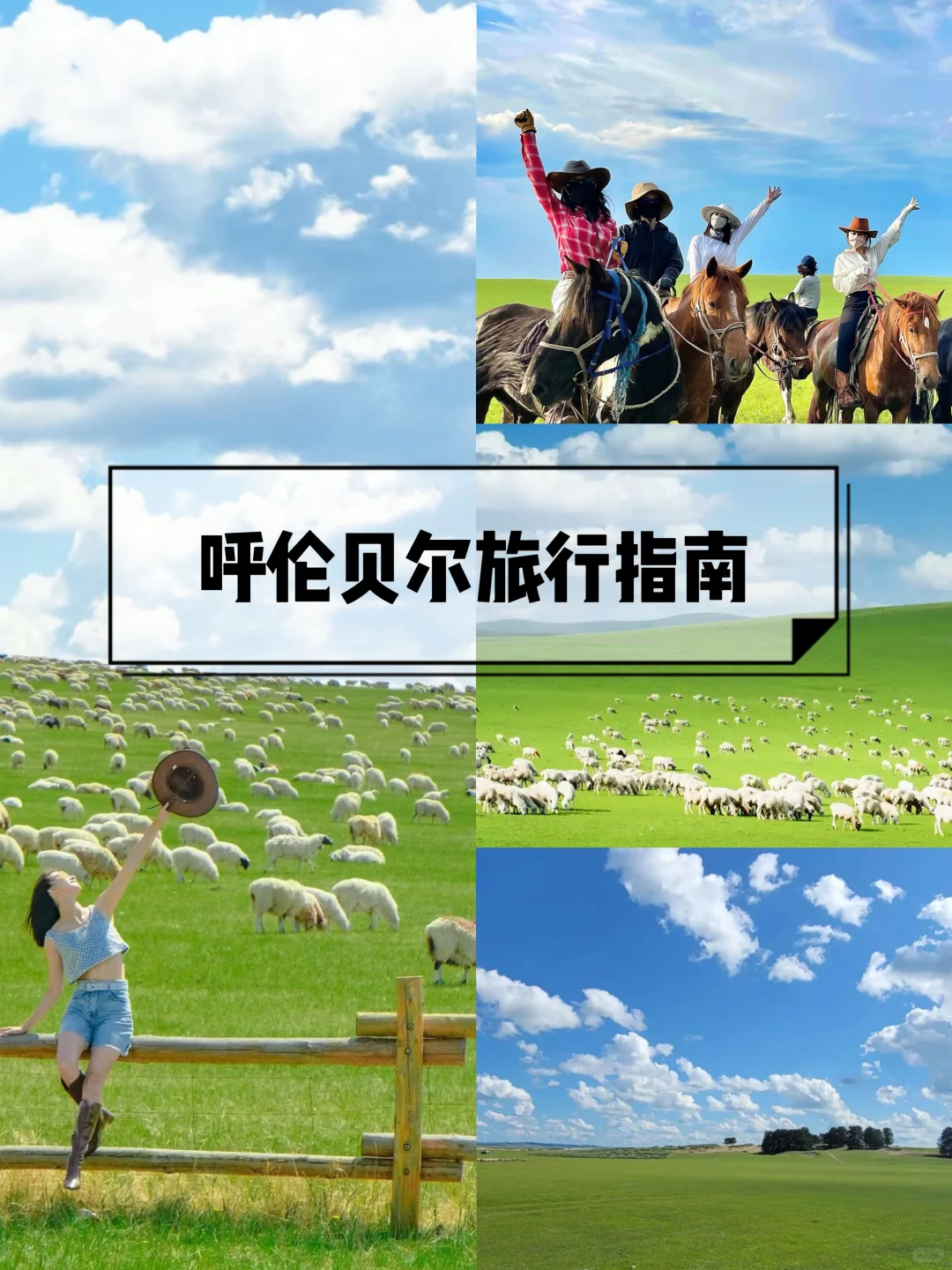 🌿这个夏天总要去一次呼伦贝尔吧！