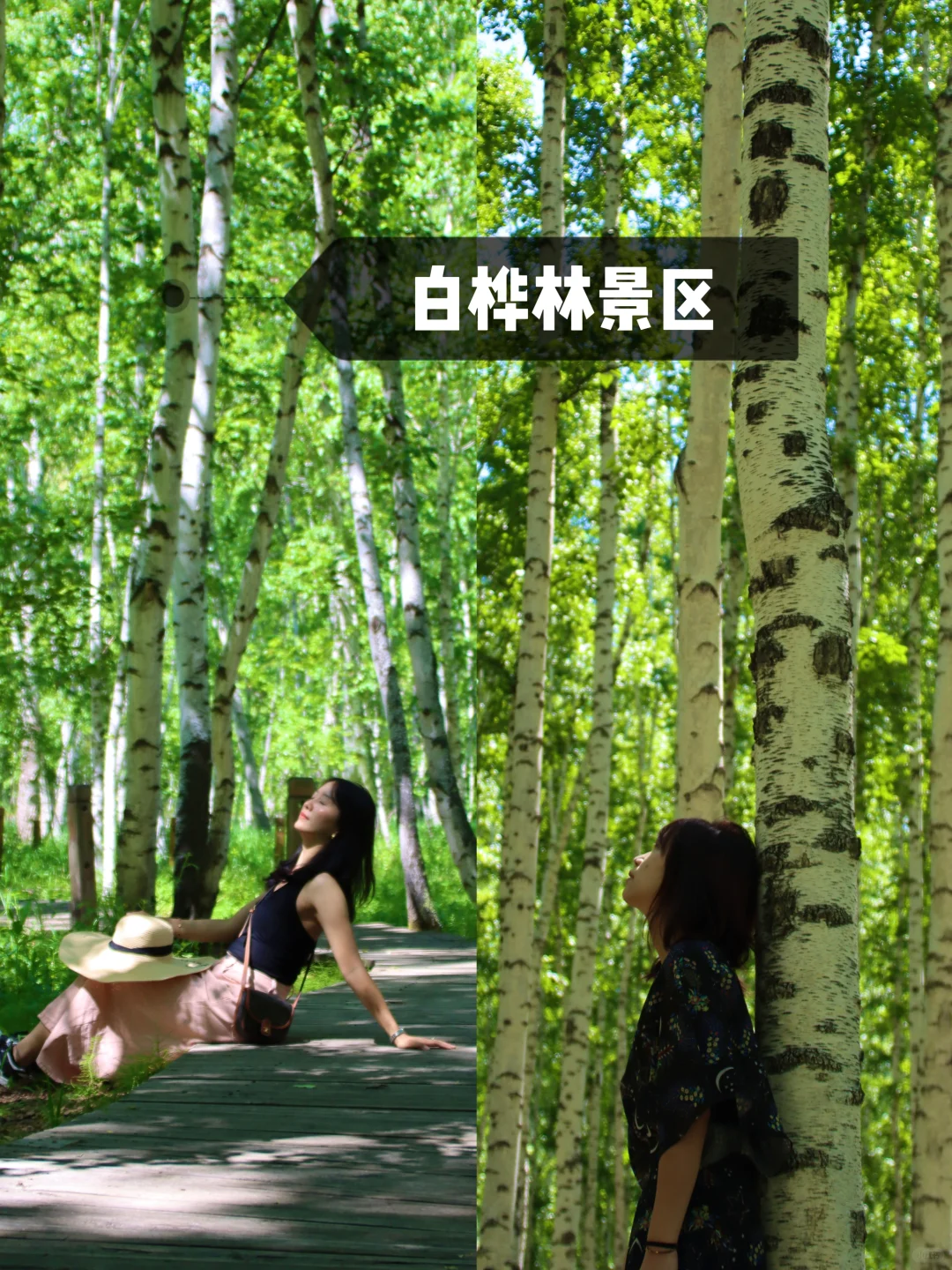 🌿这个夏天总要去一次呼伦贝尔吧！