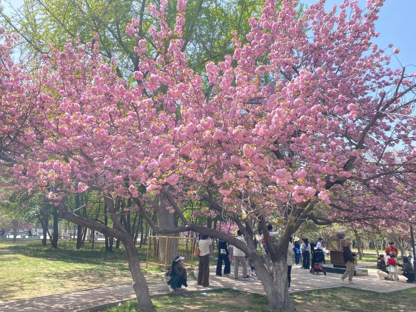清明假期邯郸之旅