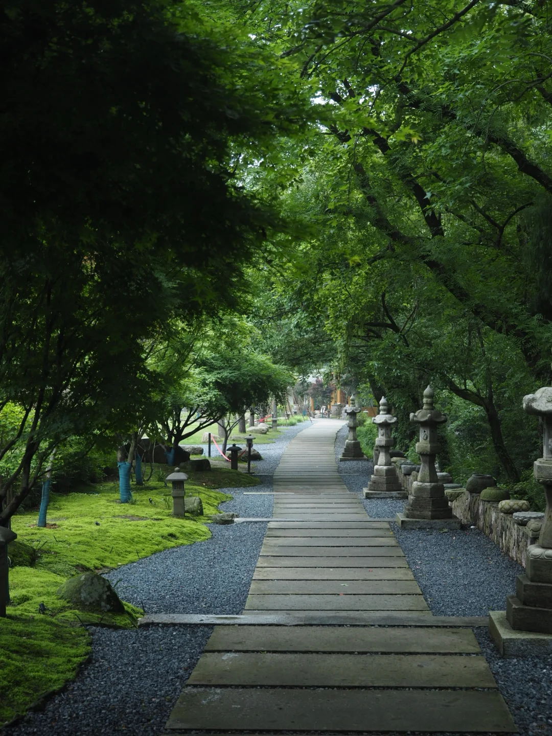 很喜欢雁荡山