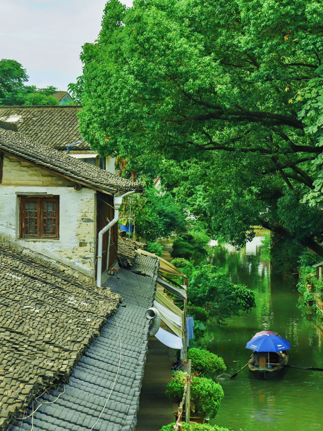 刚从绍兴回来,听听我的大实话|1日游避坑