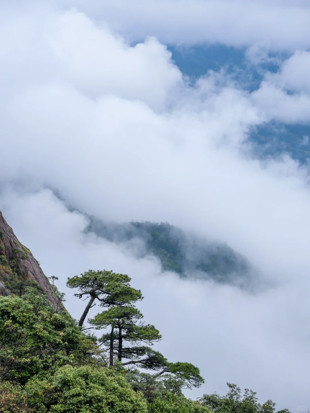 live野心友好❗️我在三清山拍到《千里江山图》