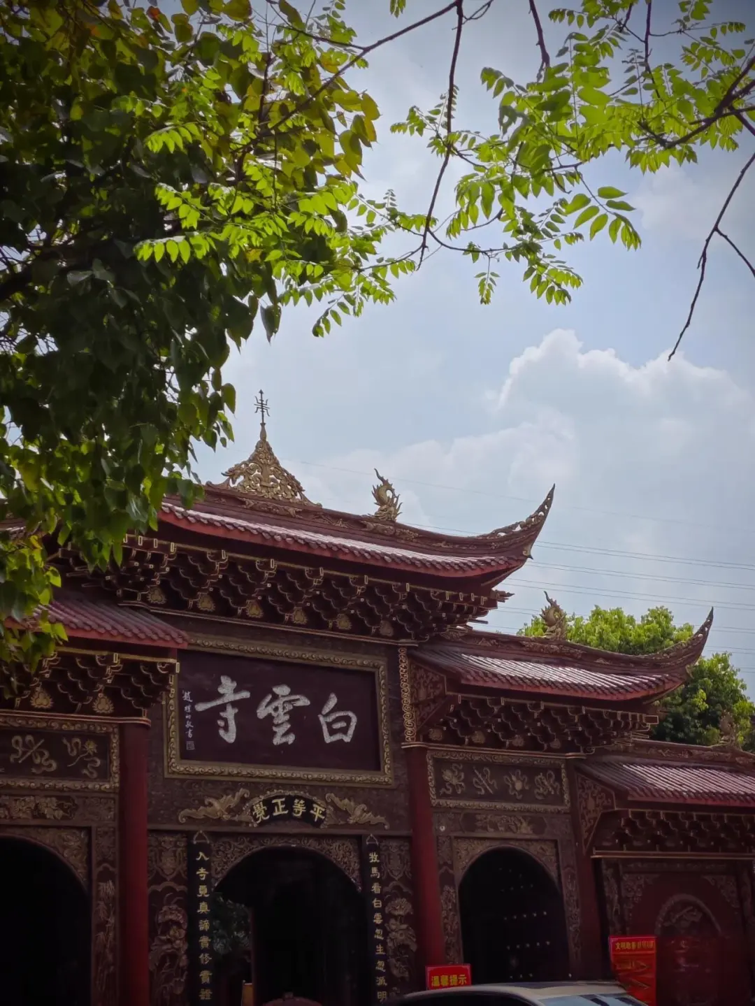 漫步厦门，每一步都是风景，每一眼都是故事