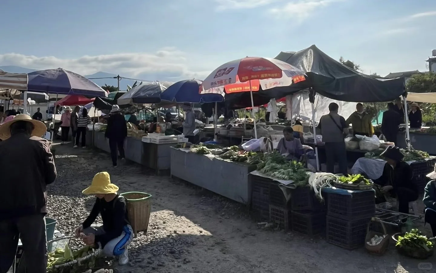 大理菜市场不完全逛吃指南