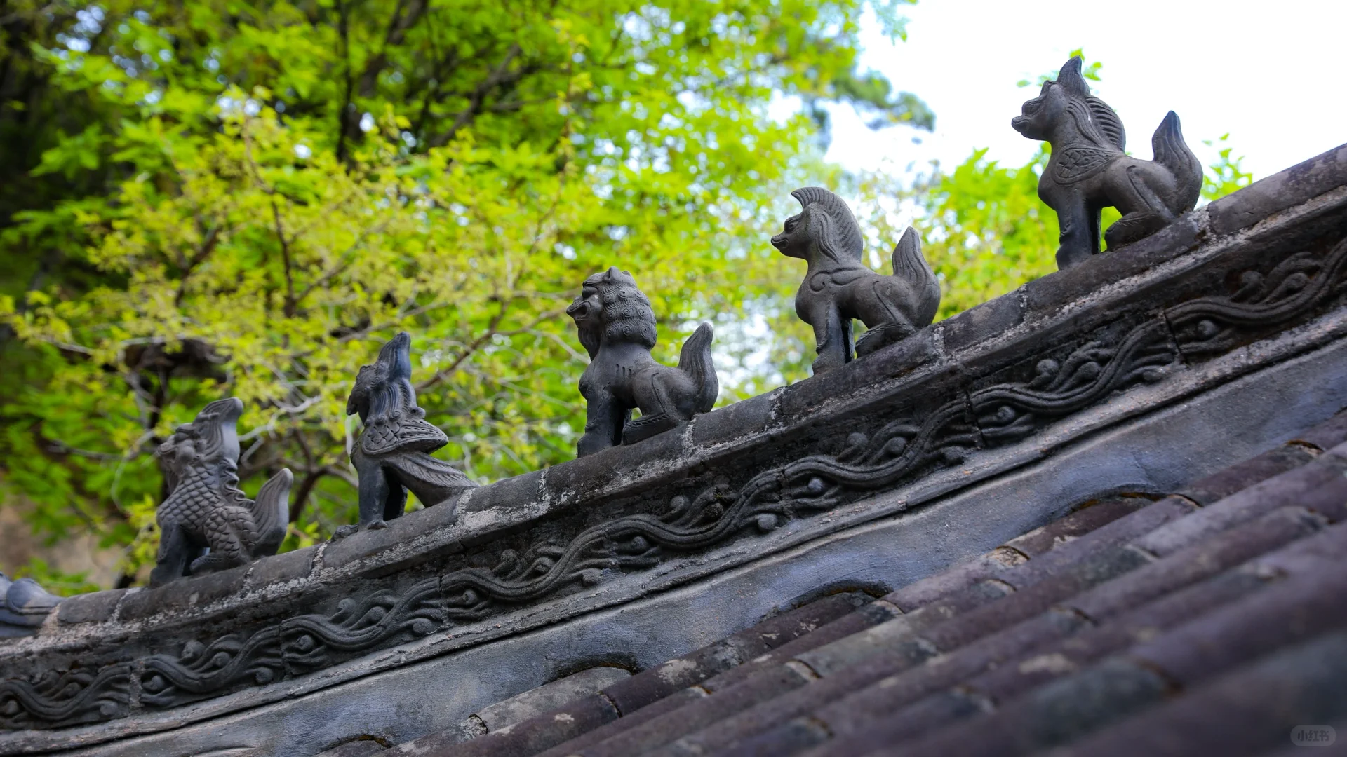 在鞍山千山深处偶遇隐世感仙境