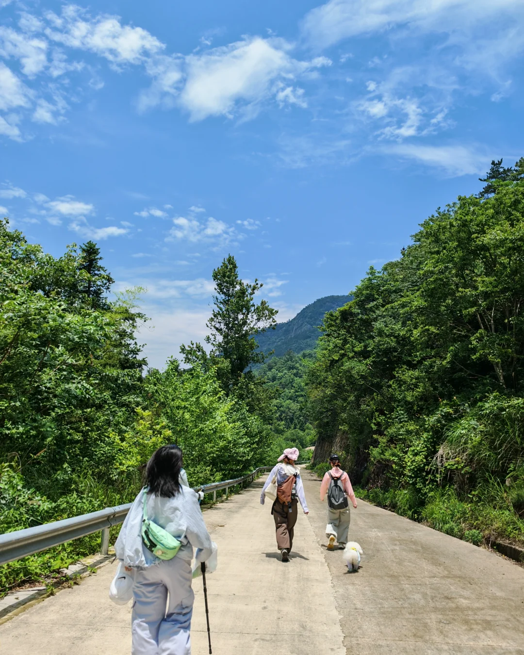 徒步/岩门下村景区环线-绝美瀑布~