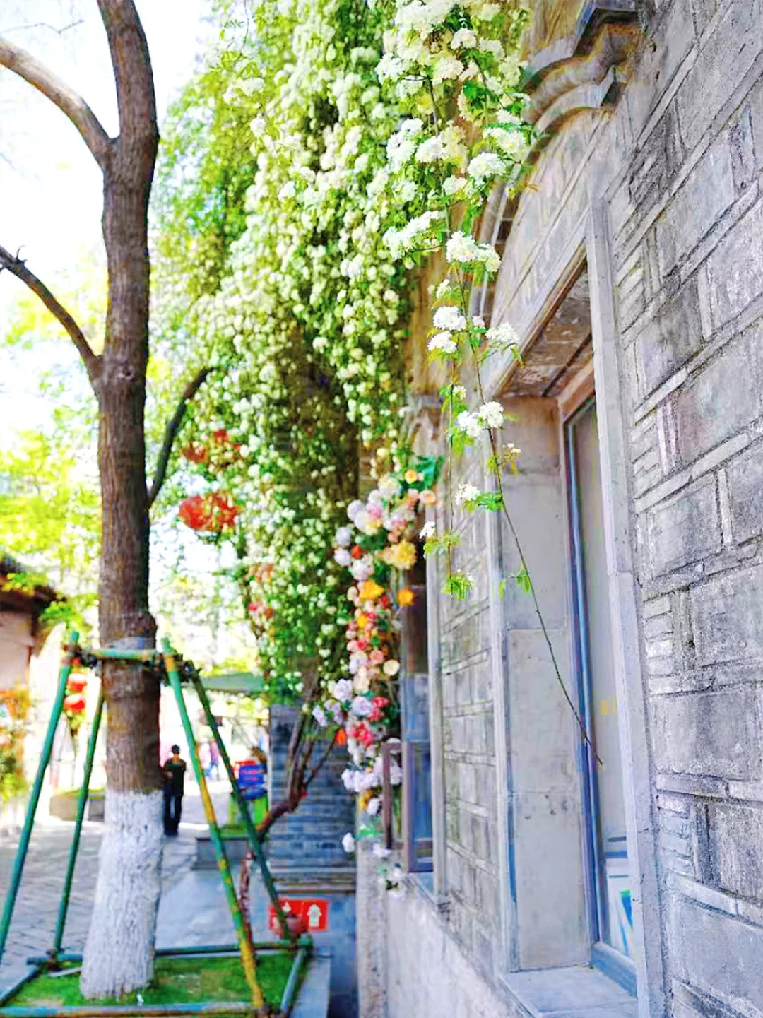 五月去南京🌿2天1晚📍超全保姆级打卡攻略