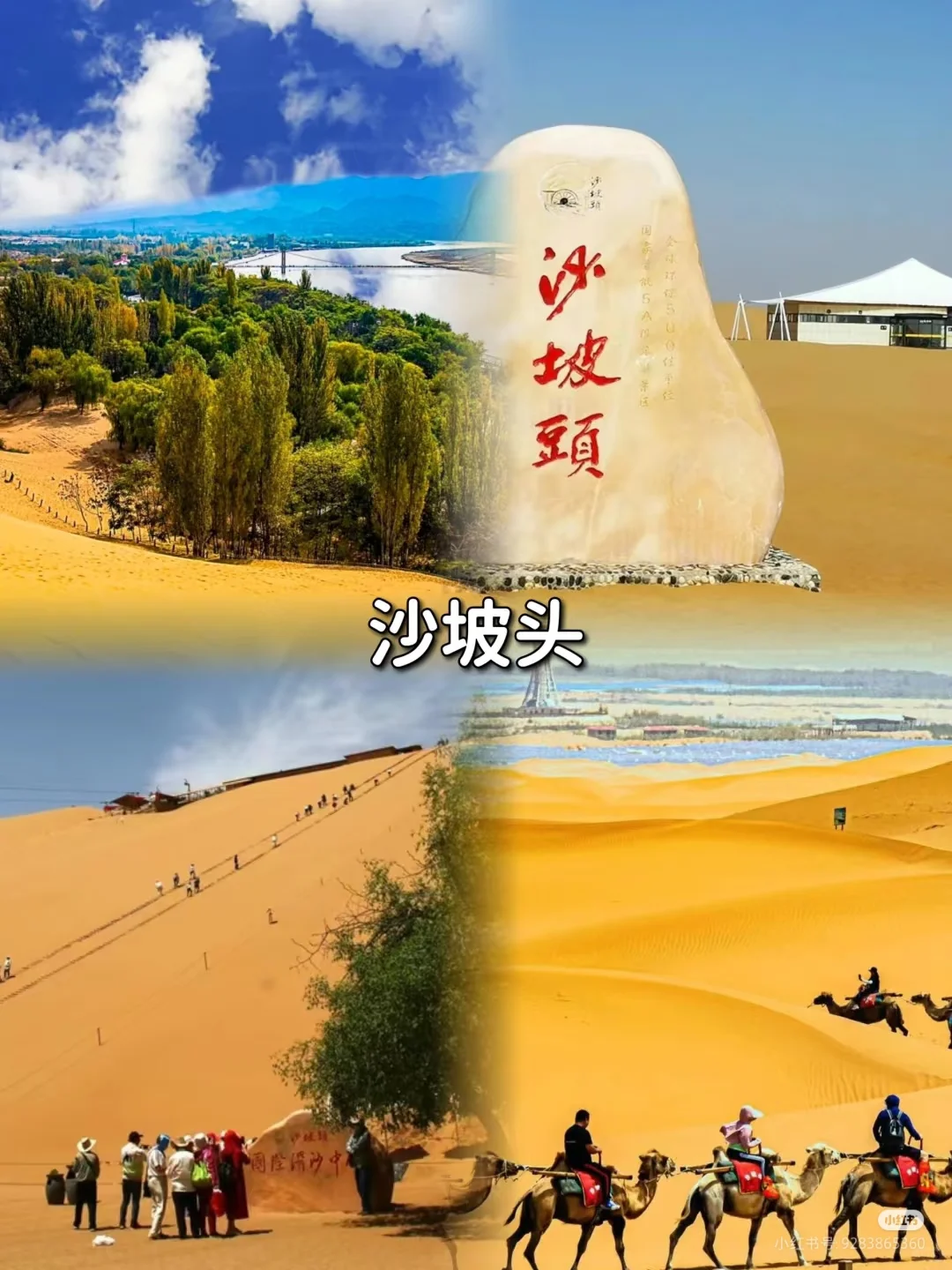 4~6月来宁夏一定要看完这篇再出发🚩听劝