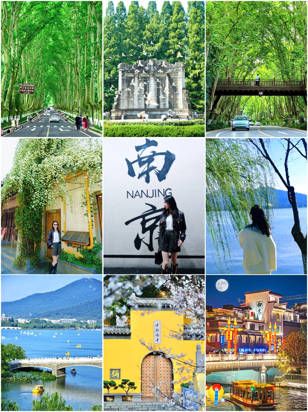 五月去南京🌿2天1晚📍超全保姆级打卡攻略