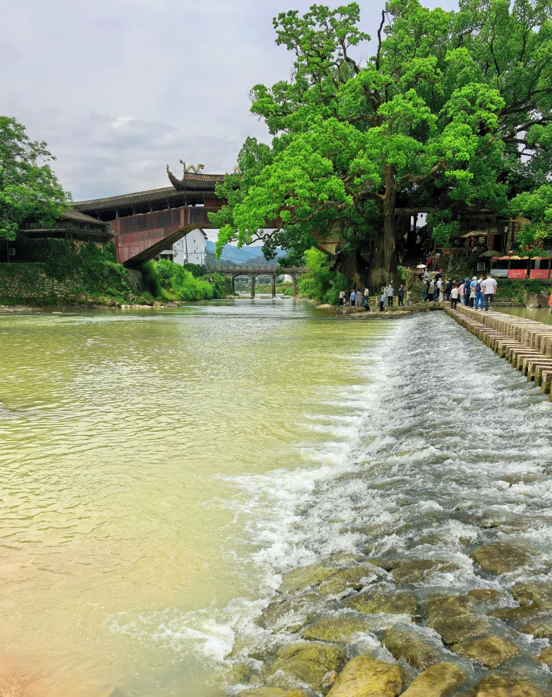 泰顺廊桥