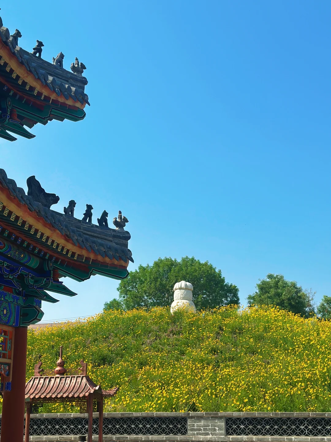 探访望都尧母文化园