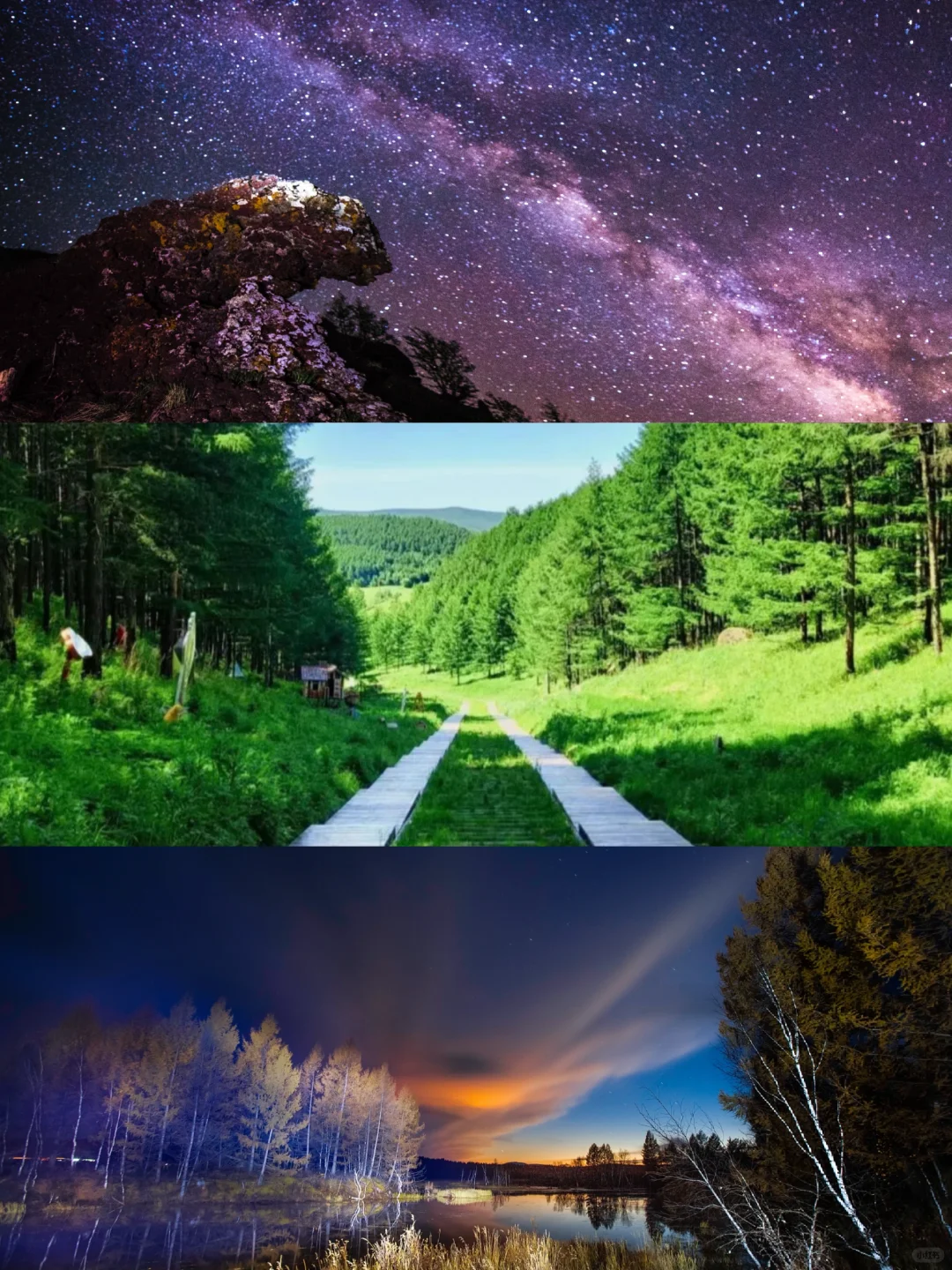 现在出发去春季的阿尔山⛰️